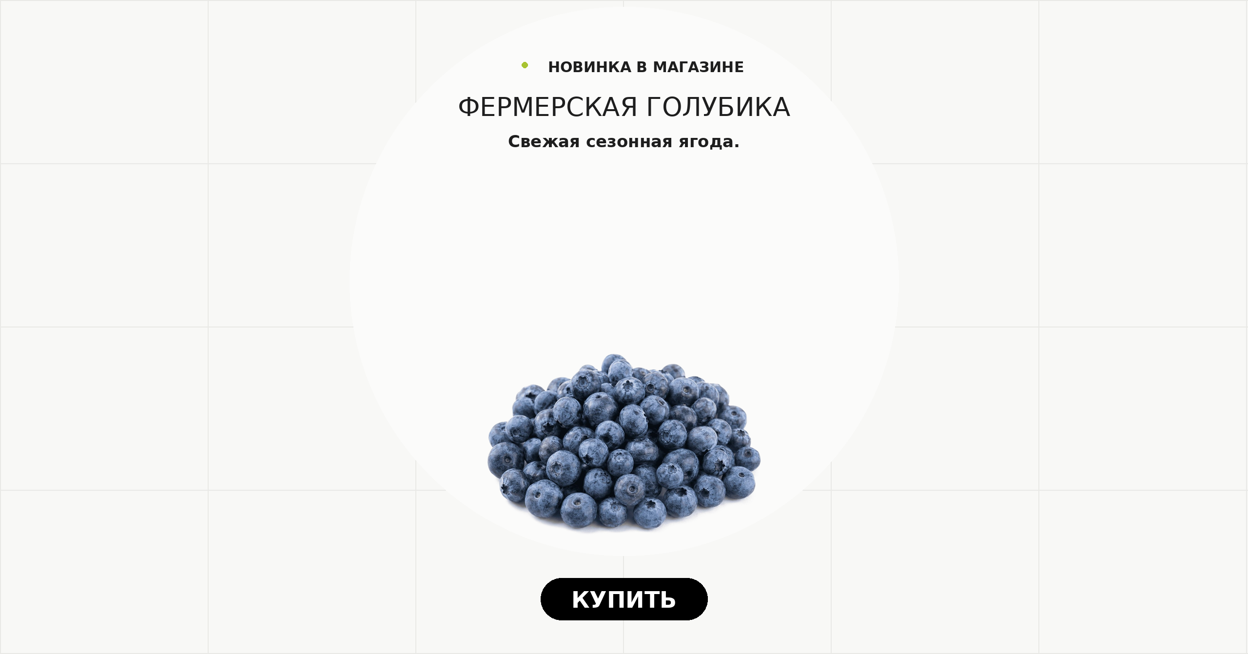 Фермерская голубика. Свежая сезонная ягода.
